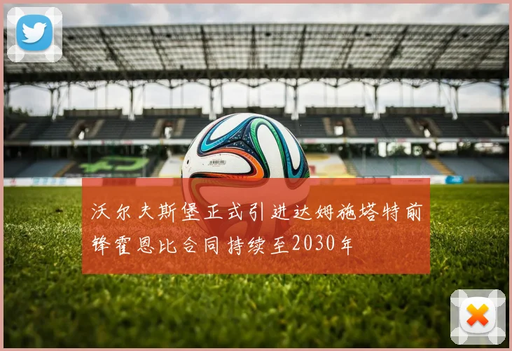 沃尔夫斯堡正式引进达姆施塔特前锋霍恩比合同持续至2030年